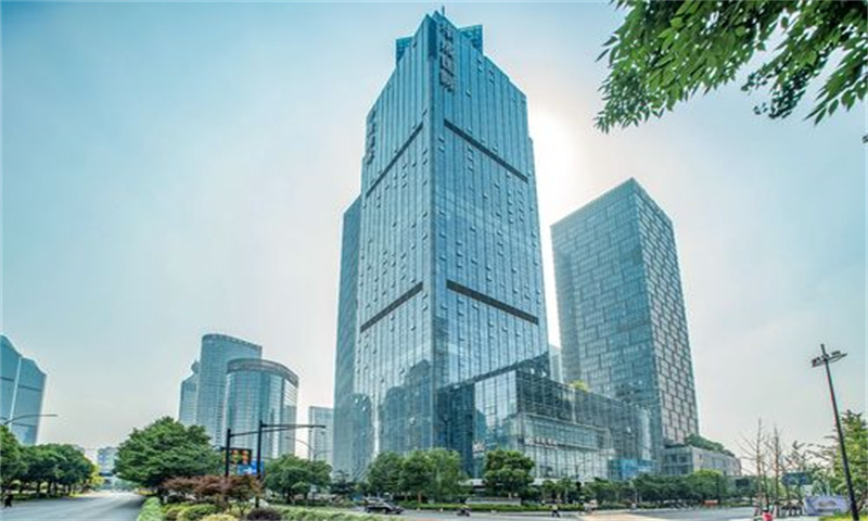 华成国际发展大厦 