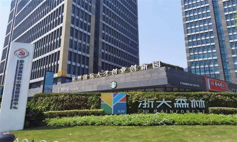 杭州市西湖区的浙大森林